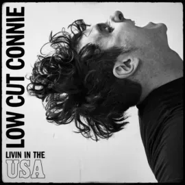 Виниловая пластинка Low Cut Connie – Livin in the USA (Релиз 2026)