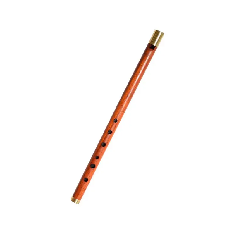 Вистл iVolga VC-02 До