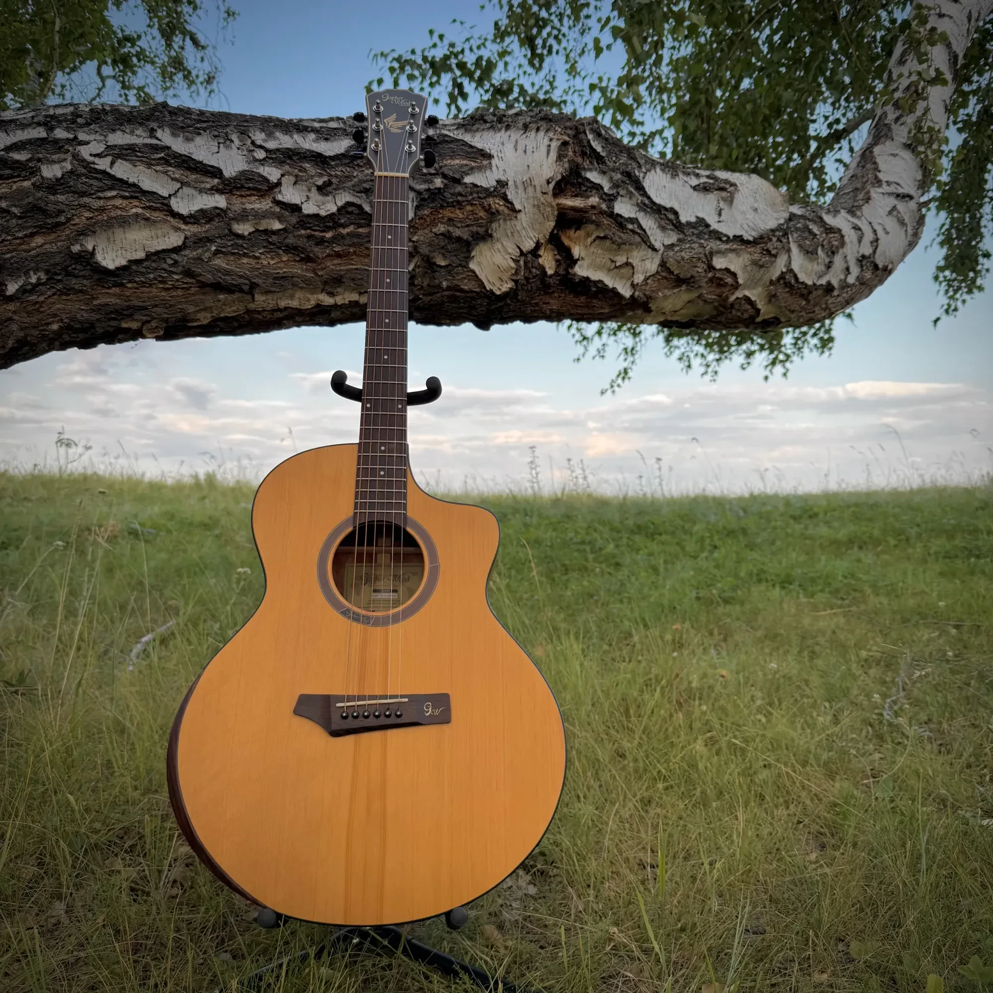 Акустическая гитара Gopherwood I265RC