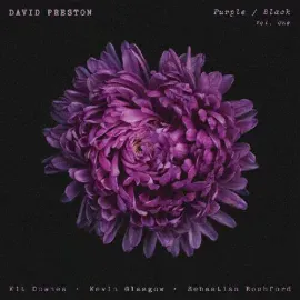 Виниловая пластинка David Preston – Purple / Black Vol 1 2024