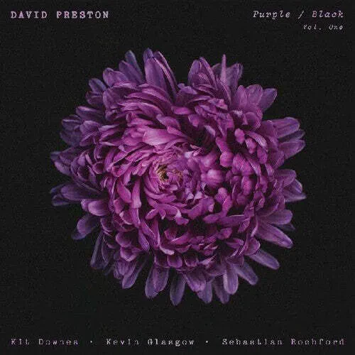 Виниловая пластинка David Preston – Purple / Black Vol 1 2024