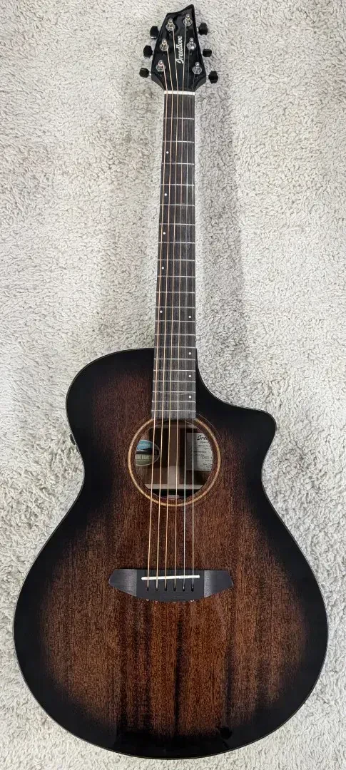 Breedlove Wildwood Pro Concert CE Acoustic Electric Guitar, Suede finish