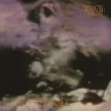 Виниловая пластинка MINISTRY – The Land Of Rape And Honey