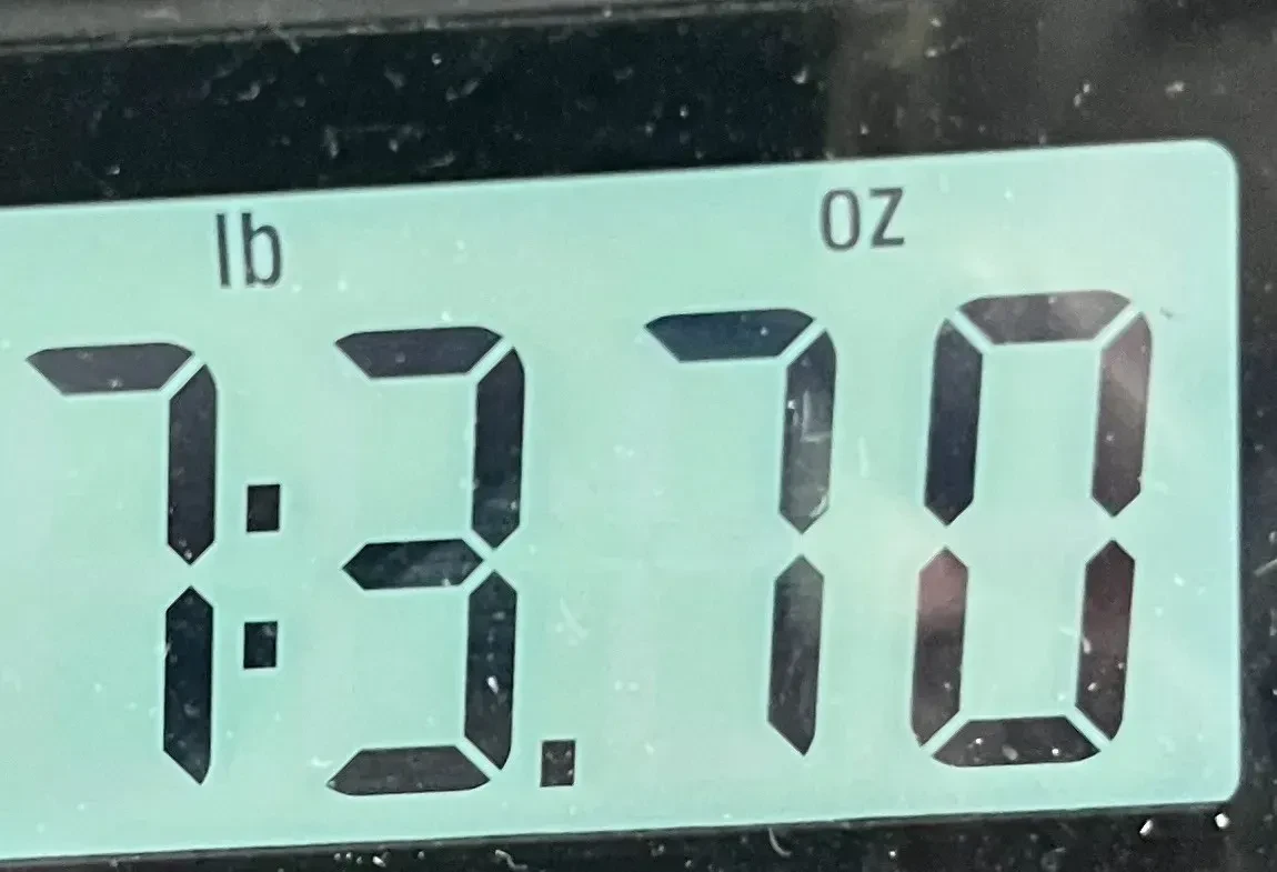 Изображение №11