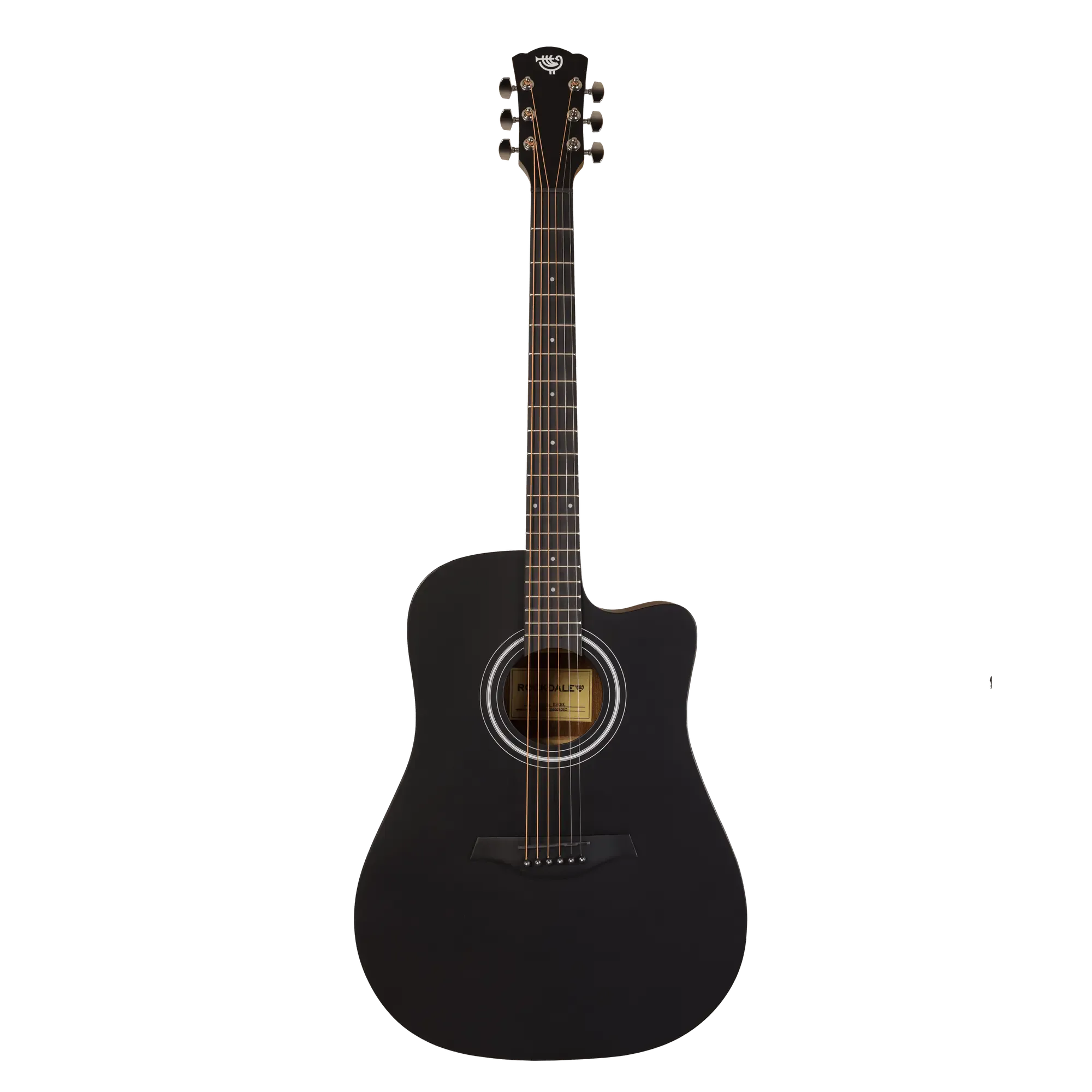 Акустическая гитара Rockdale Aurora D3 Satin C BK