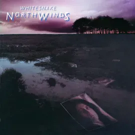 Виниловая пластинка Whitesnake - Northwinds [Black Ice Color Vinyl] [ROCKtober 2024] NEW Vinyl
