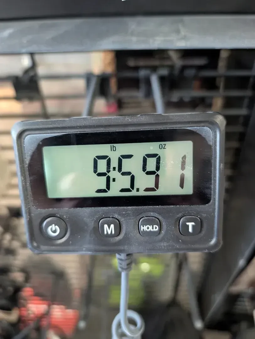 Изображение №7