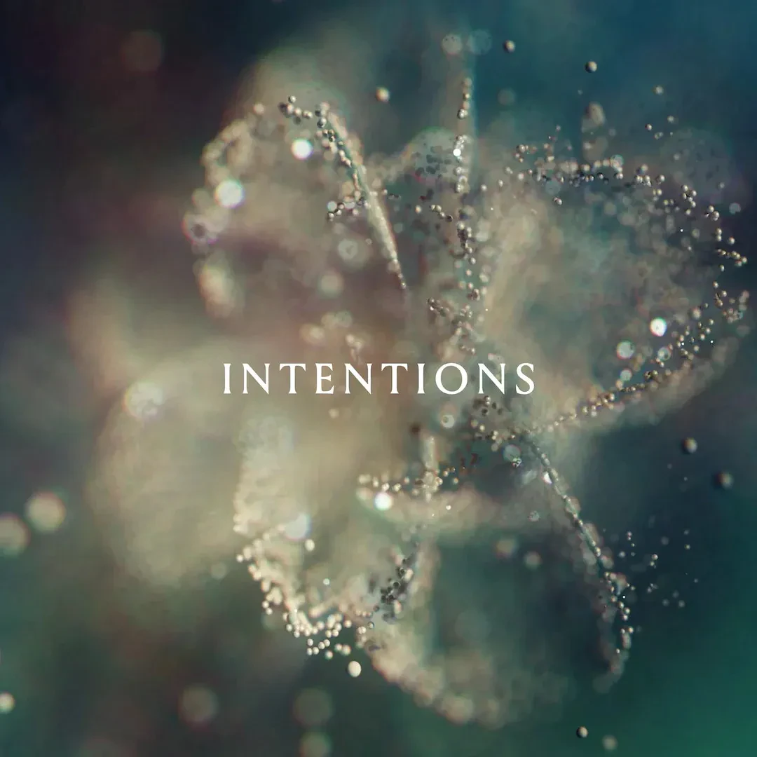 Виниловая пластинка Anna – Intentions (Релиз 2023) Sealed