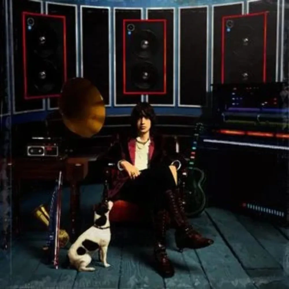 Виниловая пластинка Julian Casablancas – Phrazes For The Young 2009 Sealed