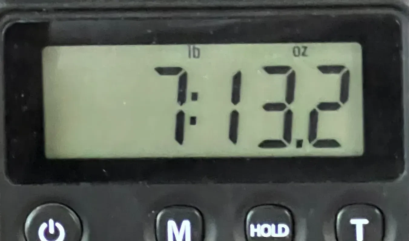 Изображение №8