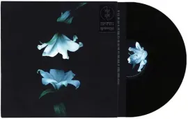 Виниловая пластинка Wasia Project - Nocturne [New Vinyl LP]