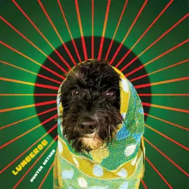 Виниловая пластинка Lumberob – Hunter Gather (Релиз 2024)