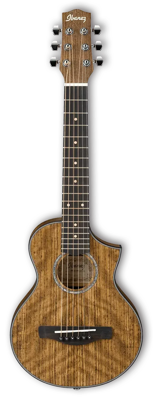 Акустическая гитара IBANEZ EWP14WB-OPN