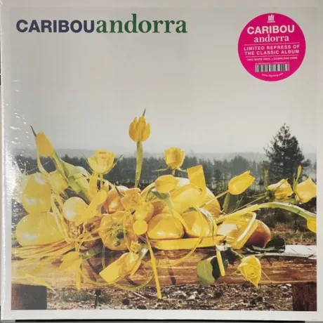 Виниловая пластинка Caribou – Andorra