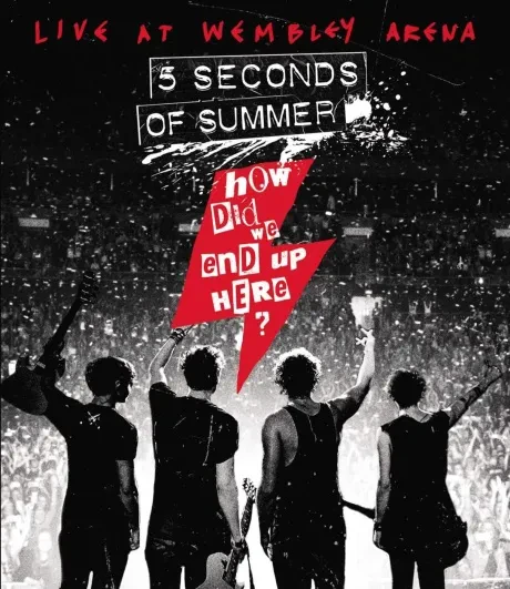 5 SECONDS OF SUMMER - How Did We End Up Here? (DVD)