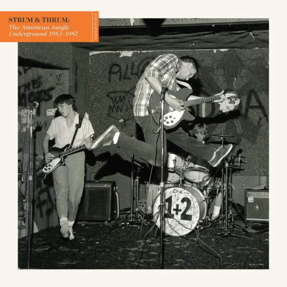 Various - Strum & Thrum: The American Jangle Underground 1983 - 1987 [Black Viny
