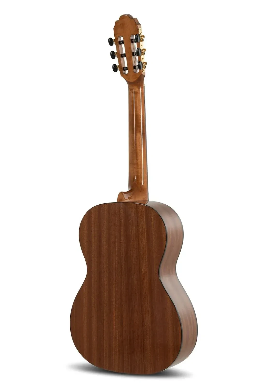 Изображение №2