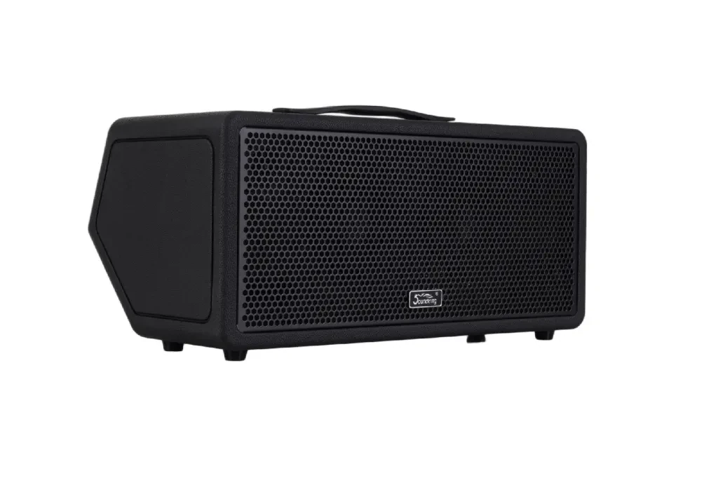 Комбоусилитель для электрогитары Soundking K100-Soundking 100Вт, портативный, черный