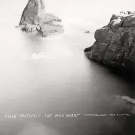 Виниловая пластинка Contemporaneous w/ David Bloom – The Wild Heart Релиз 2026