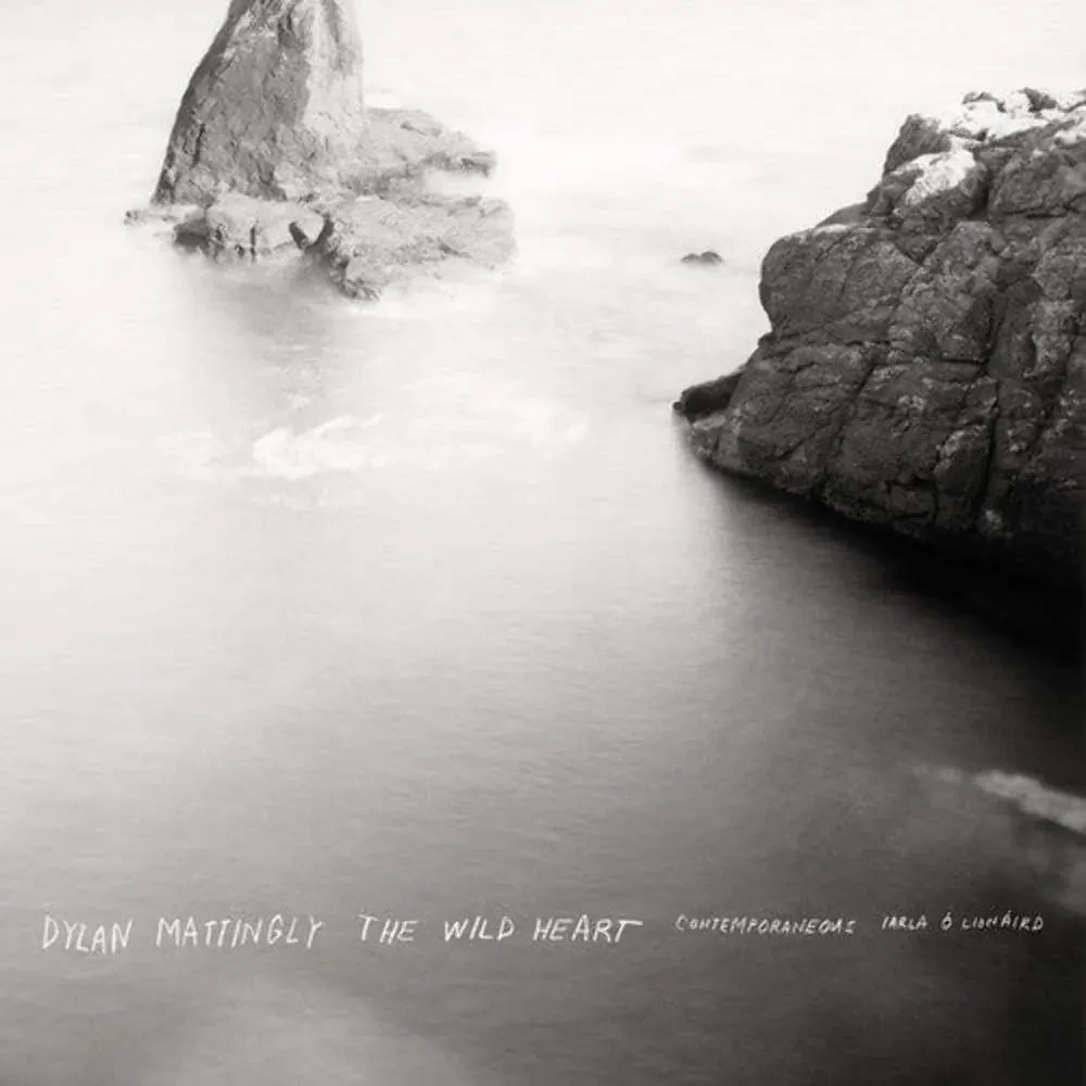 Виниловая пластинка Contemporaneous w/ David Bloom – The Wild Heart Релиз 2026