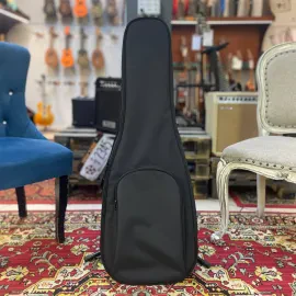 Чехол для электрогитары Rockzz Е-20 300 Black