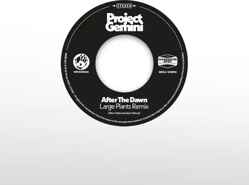 Виниловая пластинка Project Gemini and T - After The Dawn - Large Plants Remix / Darkness Rising [Ne
