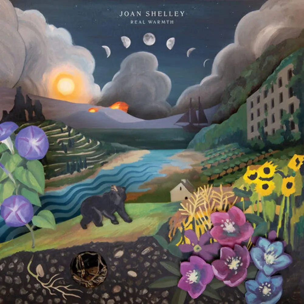 Виниловая пластинка Joan Shelley – Real Warmth Релиз 2025