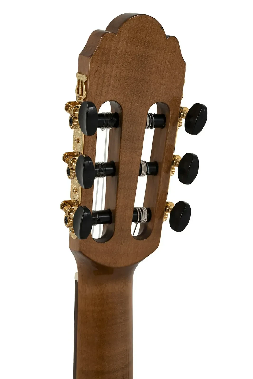 Изображение №3