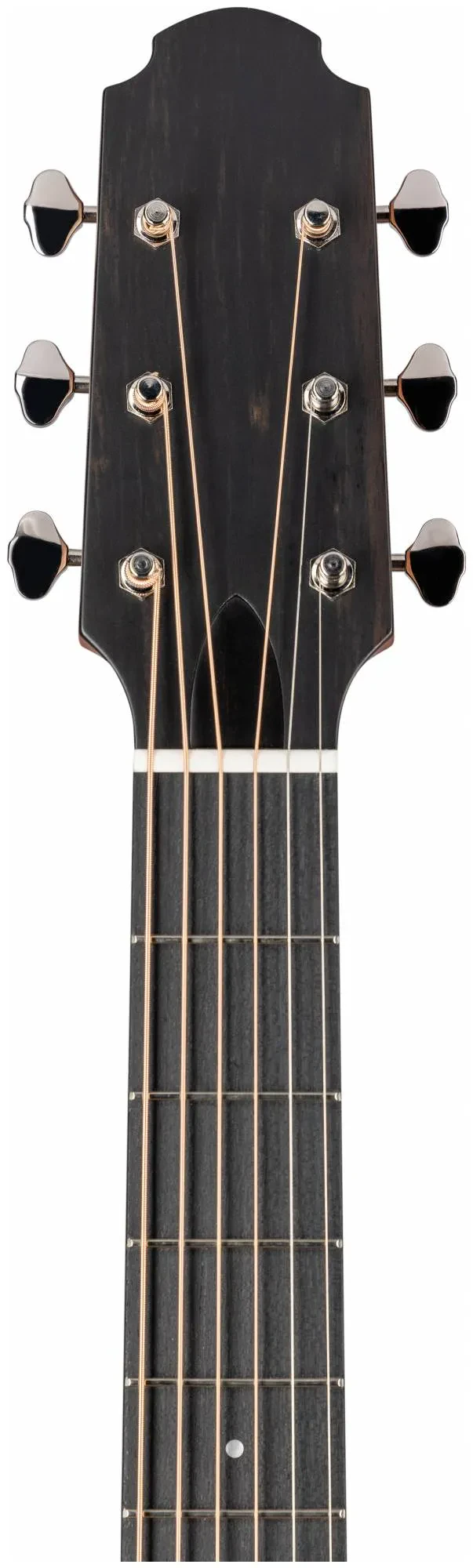 Изображение №2