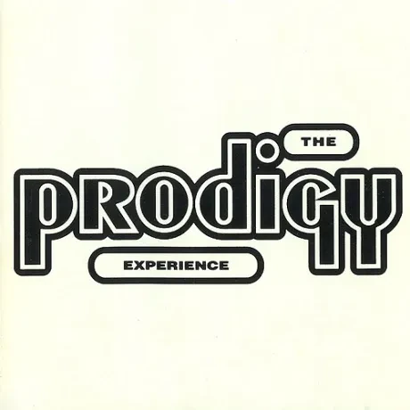 Виниловая пластинка The Prodigy – Experience