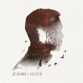 Виниловая пластинка Дельфин – Андрей