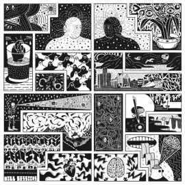 Виниловая пластинка Will Sessions - Electromagnetic Reality [New Vinyl LP]