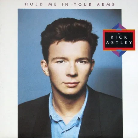 RICK ASTLEY - Hold Me In Your Arms (LP , Used)