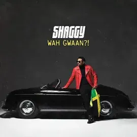 Виниловая пластинка Shaggy - Wah Gwaan [Colored Vinyl] [New Vinyl LP] Colored Vinyl, UK - Import