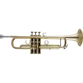 Труба Vincent Bach 170 Apollo Series Professional Bb Lacquer