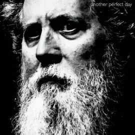 Виниловая пластинка Bill Orcutt – Another Perfect Day Релиз 2025