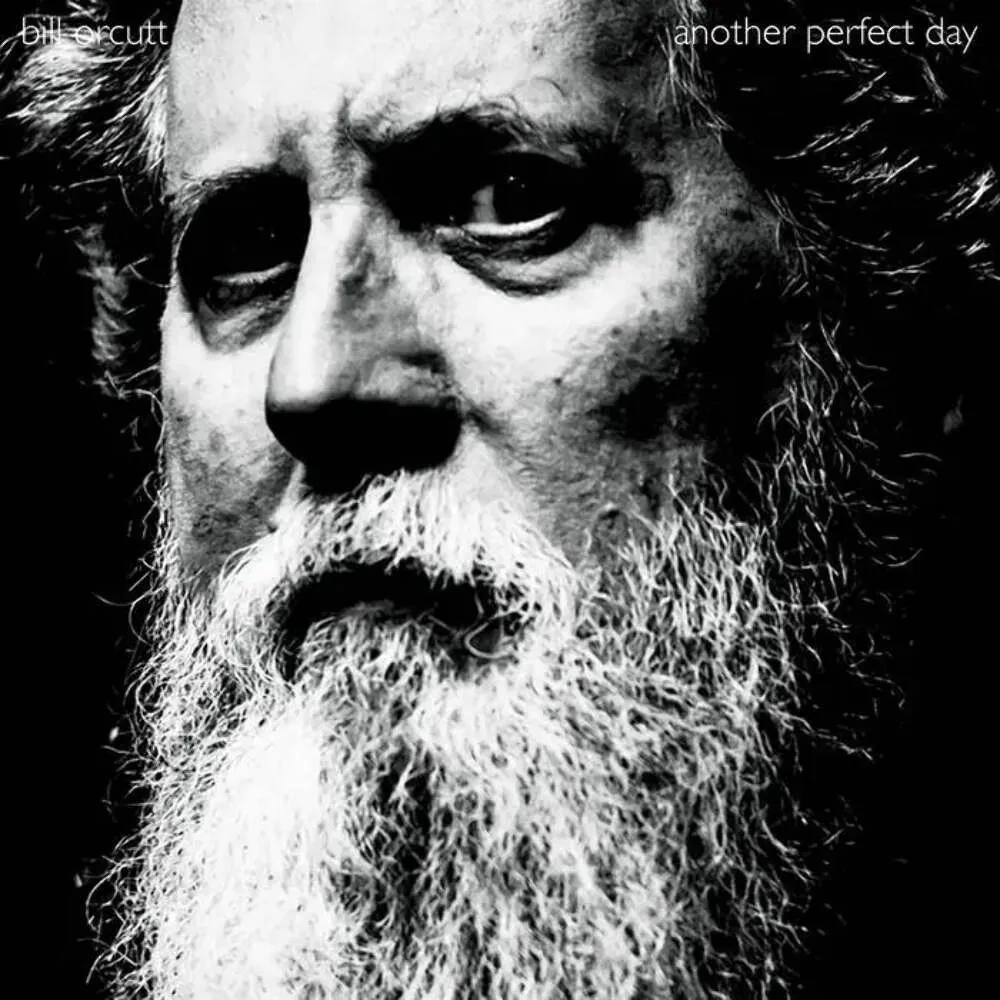 Виниловая пластинка Bill Orcutt – Another Perfect Day Релиз 2025