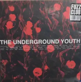 Виниловая пластинка The Underground Youth – The Falling