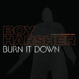 Виниловая пластинка Boy Harsher – Burn It Down 2023