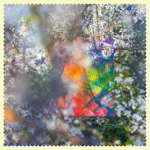 Виниловая пластинка Four Tet – Sixteen Oceans 2020