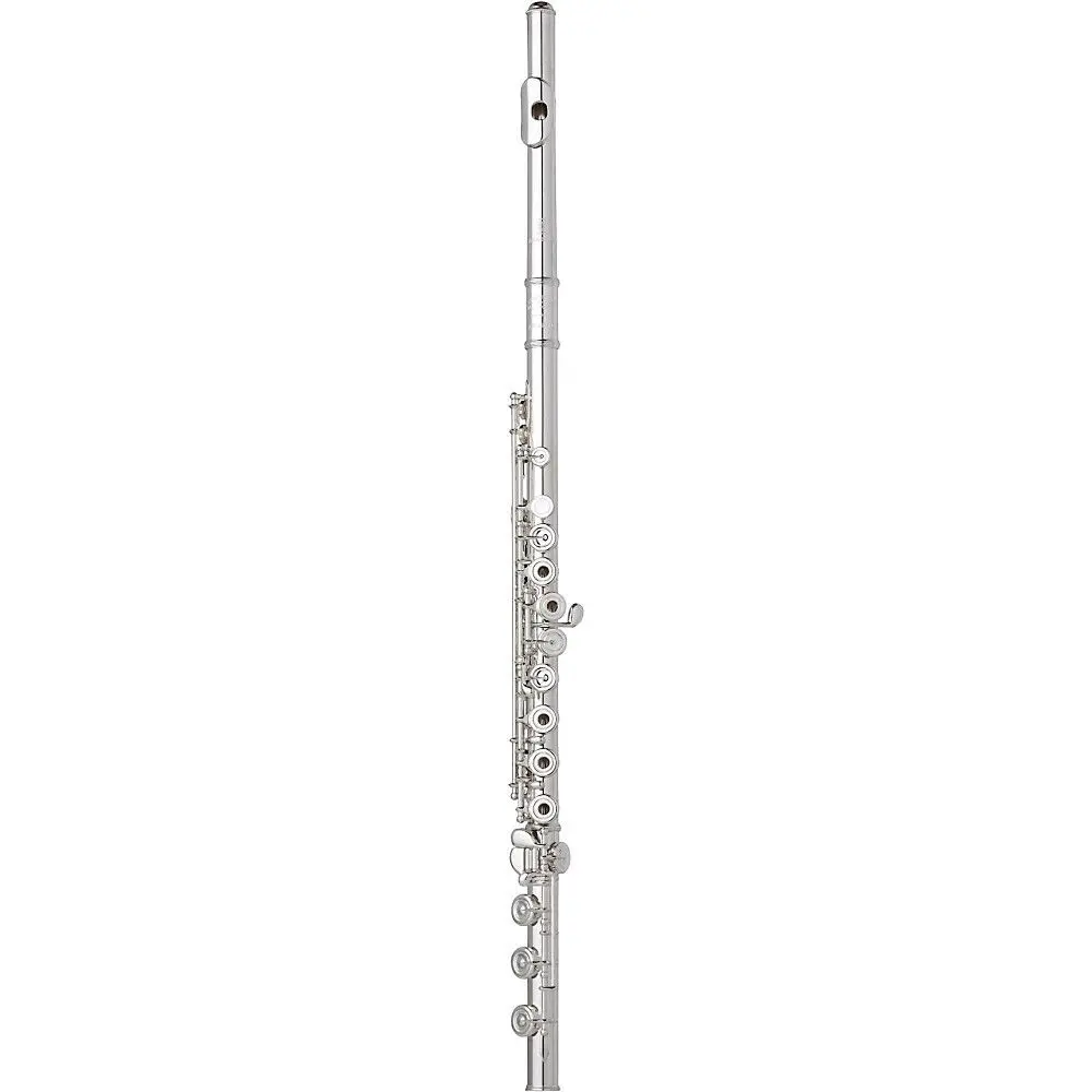 Флейта Wm. S Haynes Amadeus AF580-BO Flute