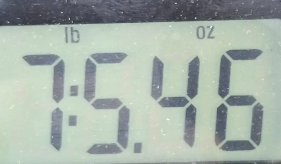 Изображение №10