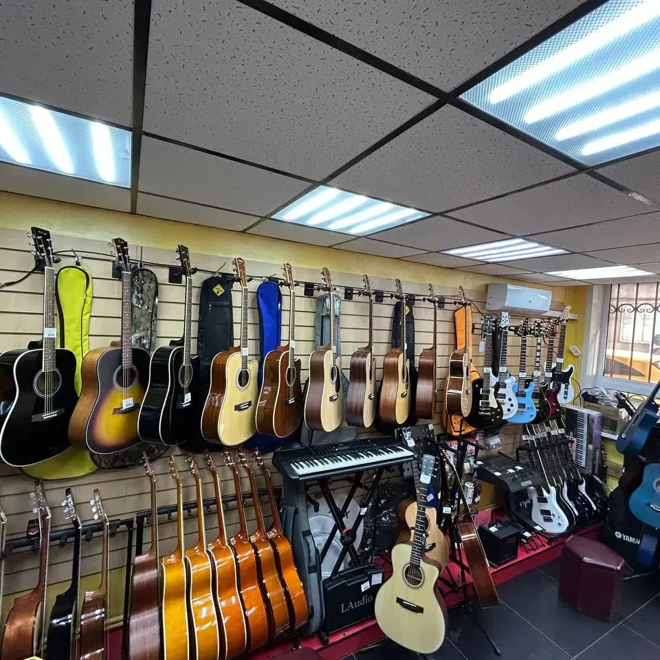 SKIFMUSIC — музыкальный магазин в Россоши