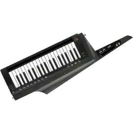 Синтезатор-клавитара Korg RK100S-2 BK