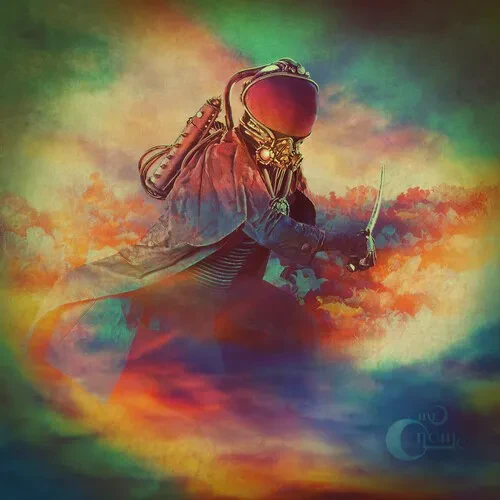 Виниловая пластинка Mr. Gnome - The Day You Flew Away [New Vinyl LP]
