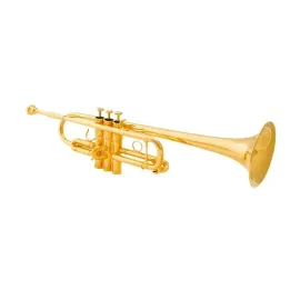 Труба Schilke C3HD Custom C Lacquer