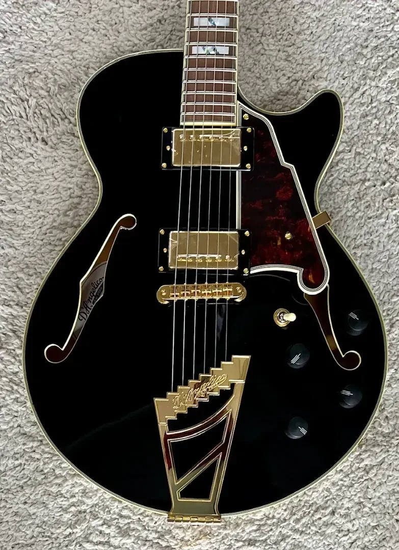 D'Angelico Excel SS Semi-Hollow Body Electric Guitar, Black, DAESSNATGTCBE