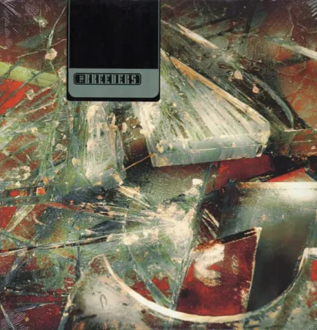 Виниловая пластинка The Breeders – Mountain Battles