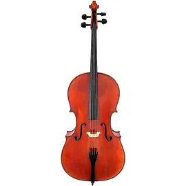 Виолончель Scherl and Roth SR75 Series Professional Series Cello 4/4