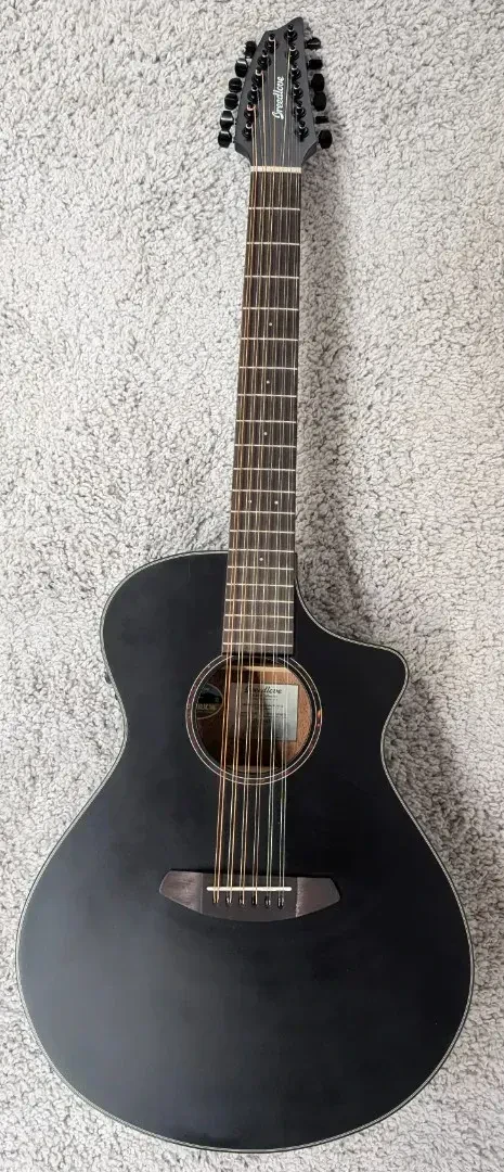 Breedlove Discovery Concert CE 12-String Acoustic Electric Guitar, Satin Black B